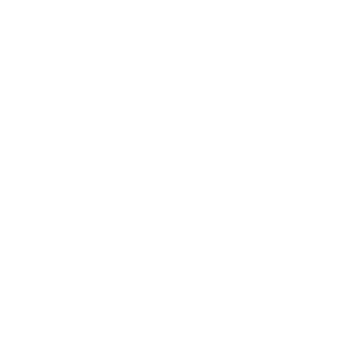 MSM Słubice